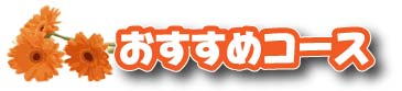 おすすめコース